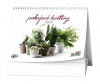 Kalend�� stoln� Pokojov� kv�tiny - t�denn�-210x150 (BSC7)