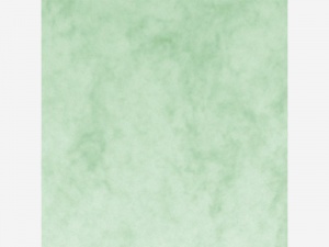 Detailn� obr�zek