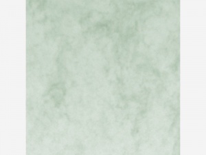 Detailn� obr�zek
